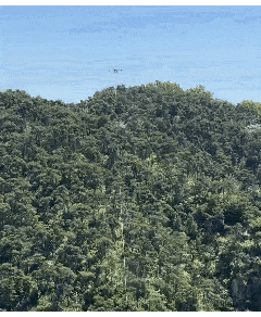 1779153706669816.png 图片2.png