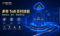 蜂云手机背后：多年ToB交付经验