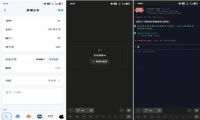 远程 Vibe Coding 怎么连？把