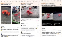 爆火的金钢科技螃蟹机器人“跳跳”开源了，还将免费送出100台